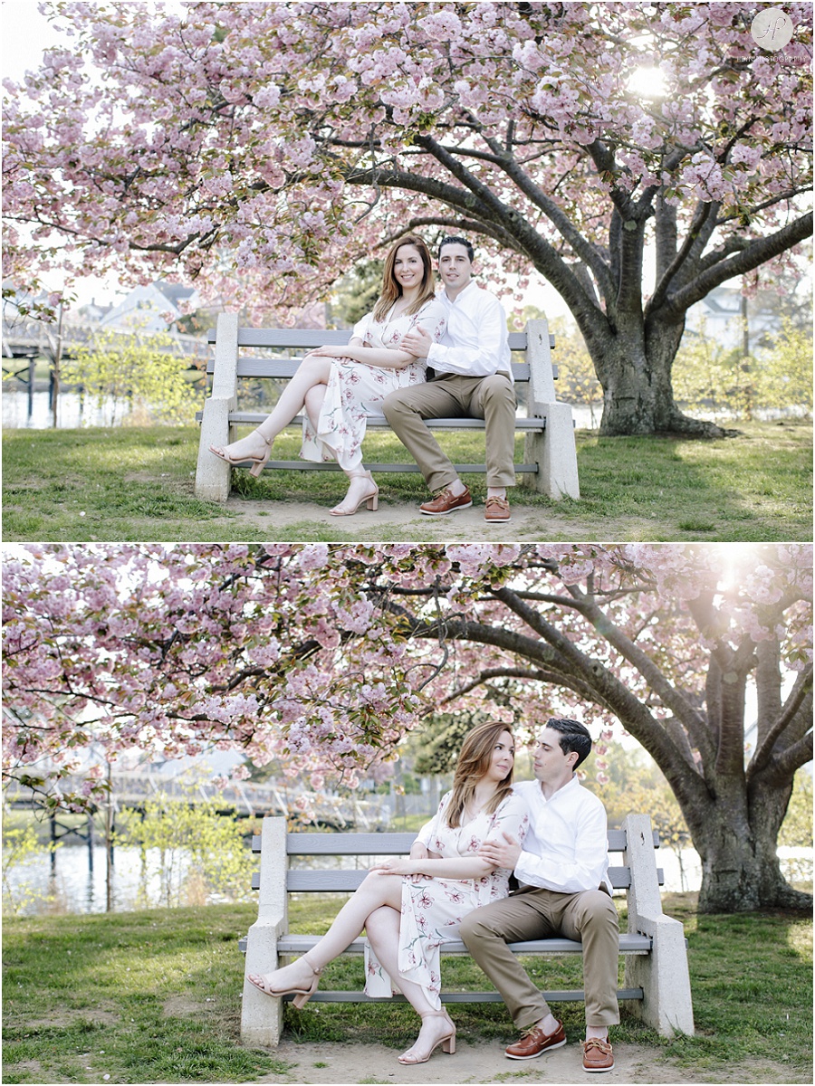 couple under bench by cherry blossom tree at spring lake engagement session in new jersey 