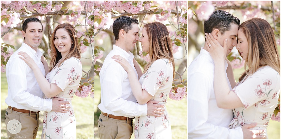 couple under cherry blossom tree at spring lake engagement session in new jersey 