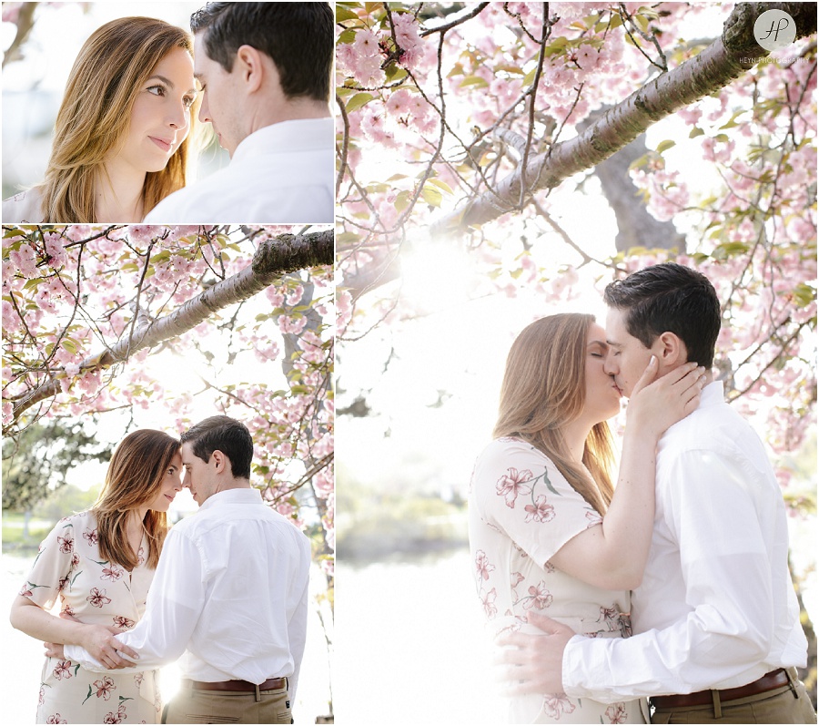 couple kissing under cherry blossom tree at spring lake engagement session in new jersey 